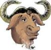 GNU - free software
